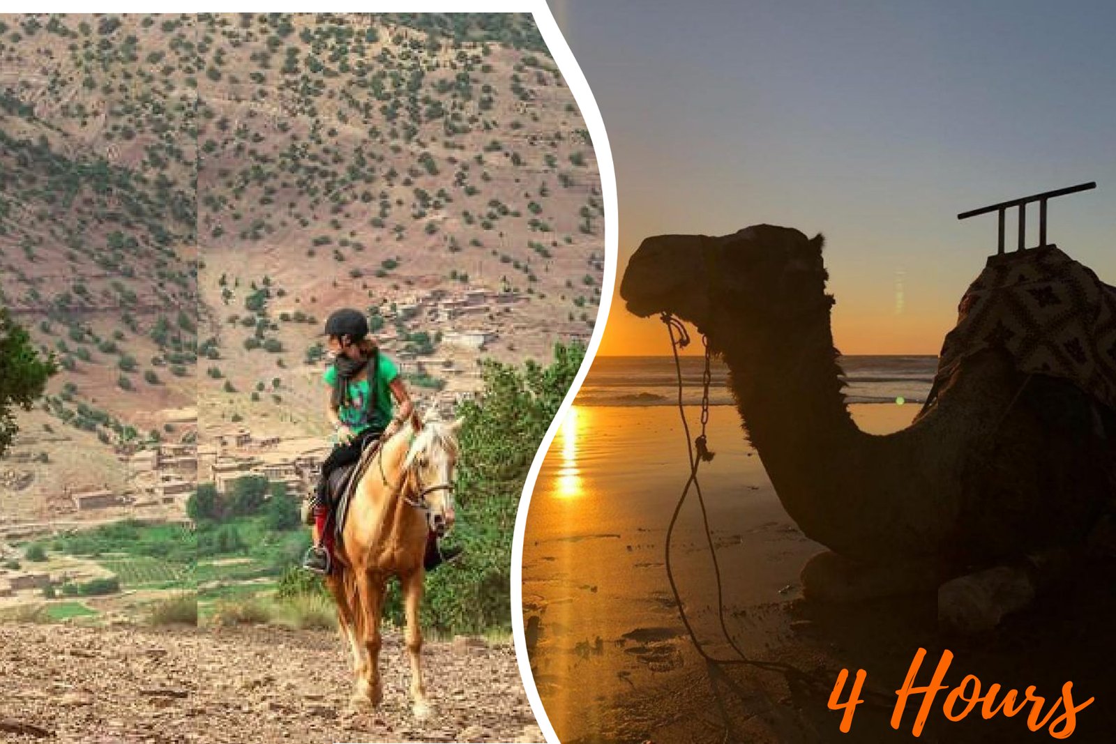 Horse Ride & Camel Ride