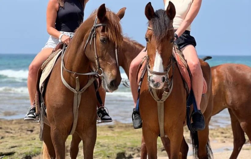 Horse ride in Taghazout